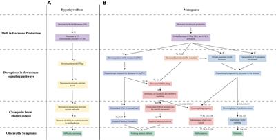 A computational lens on menopause-associated psychosis